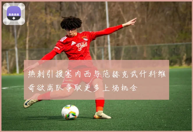 热刺引援塞内西与范赫克武什科维奇欲离队争取更多上场机会